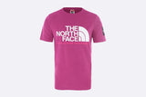 The North Face Camiseta Fine Alpine 2